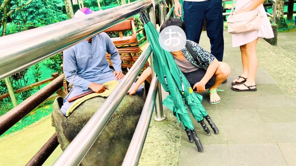 象の頭をなでる