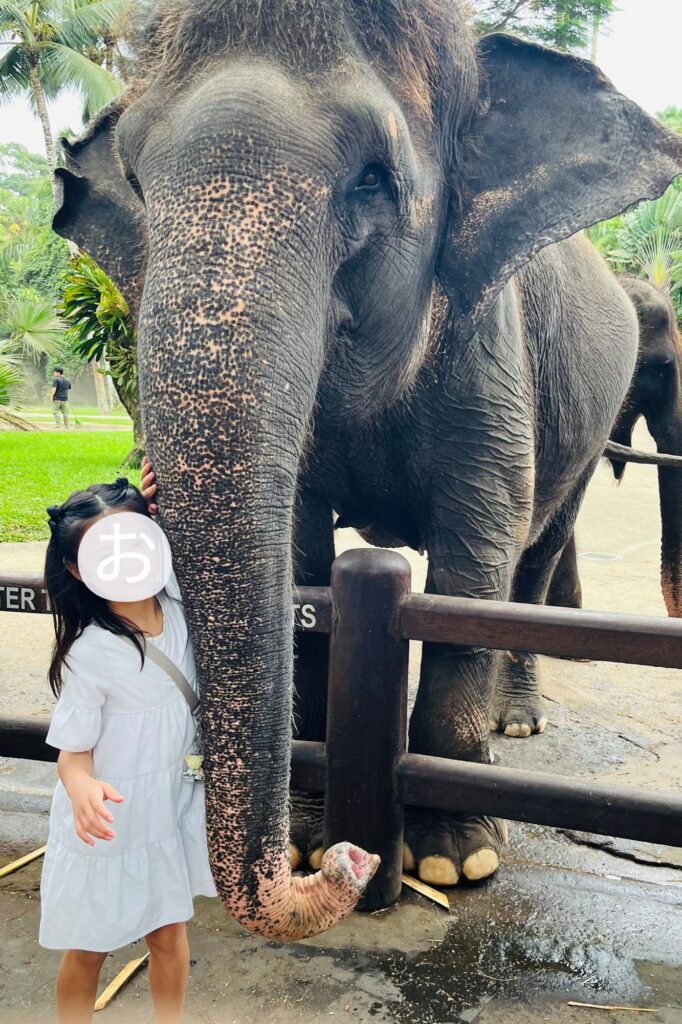 娘象と２ショット