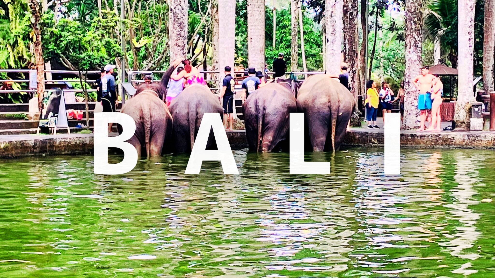 アイキャッチ画像4