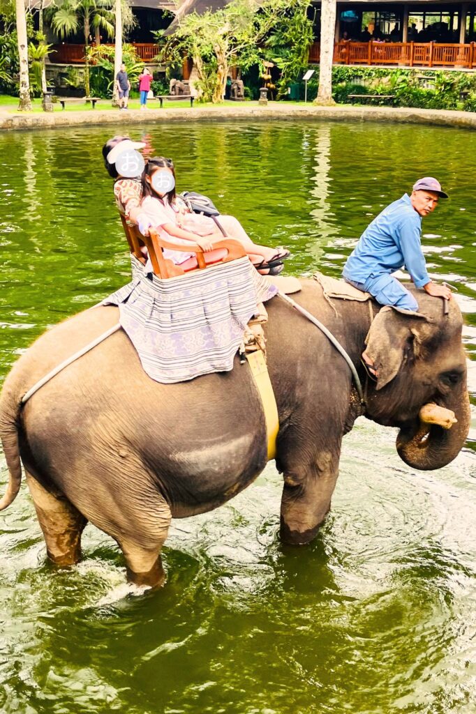 水場に入っていく象１