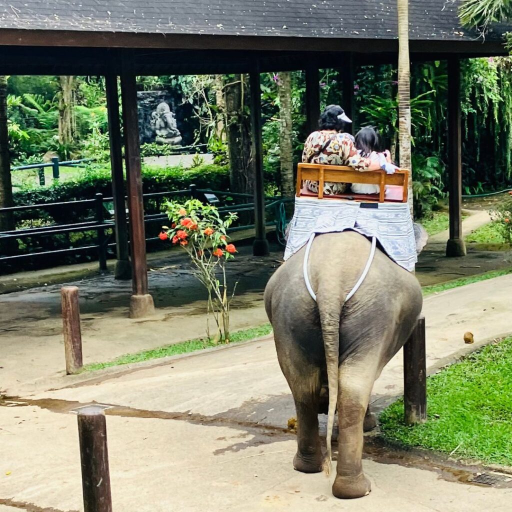 おばあちゃんと娘