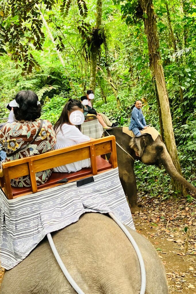 ３頭が列になって行進